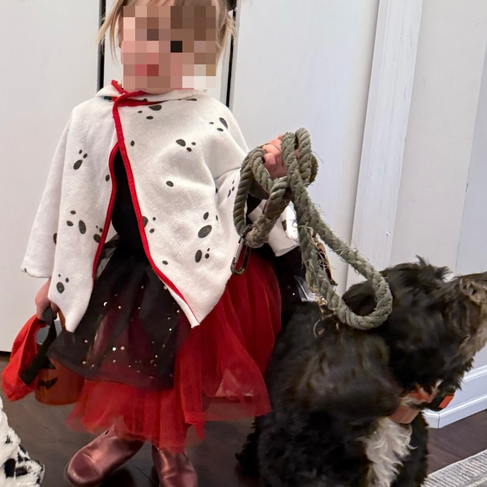 Rubie's Dalmatian Costume - Hooded Cape